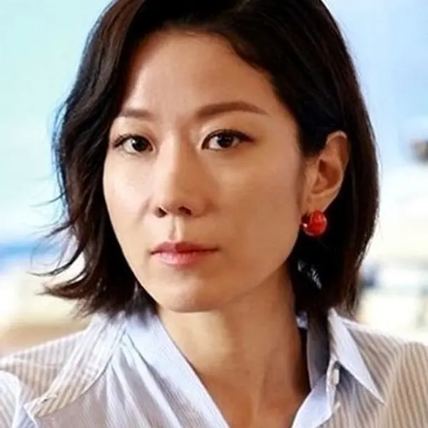 Jeon Hye-jin — K-pop artist photo