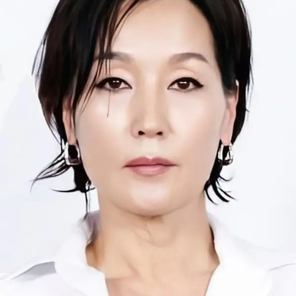 Lee Hye-young — K-pop artist photo