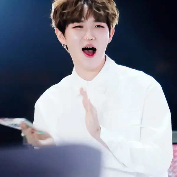 Kim Jae-hwan — K-pop artist photo