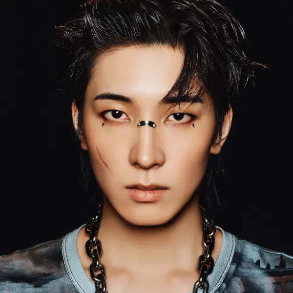 Wonwoo — K-pop artist photo