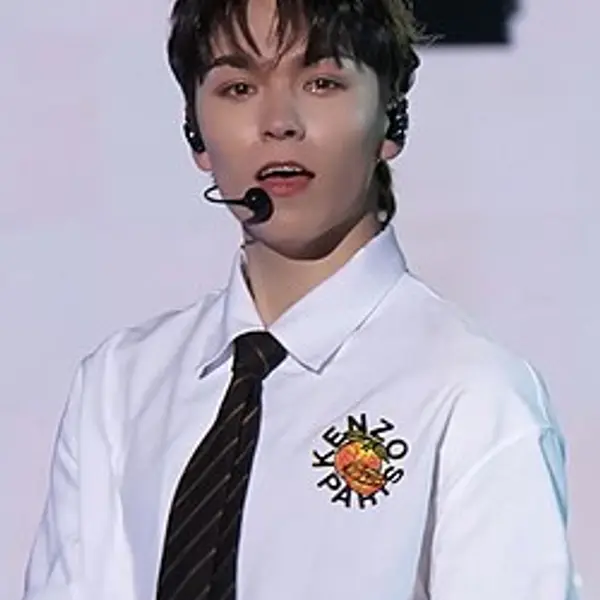 Vernon — K-pop artist photo