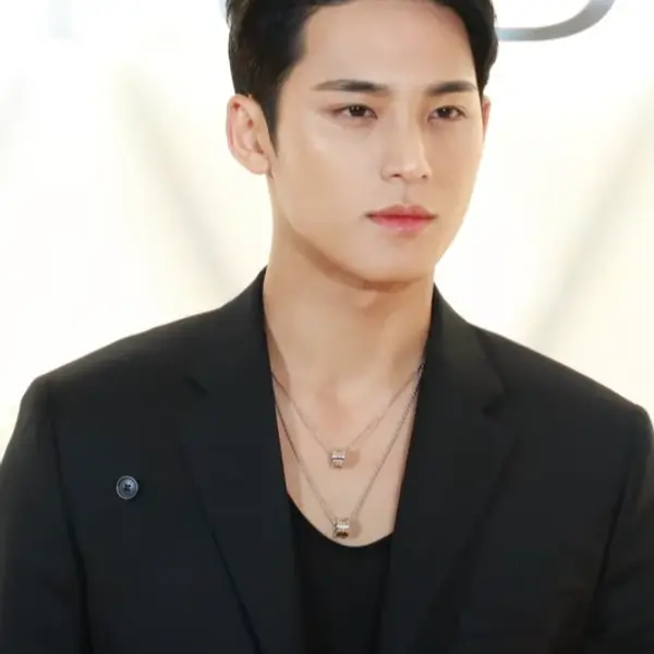 Mingyu — K-pop artist photo