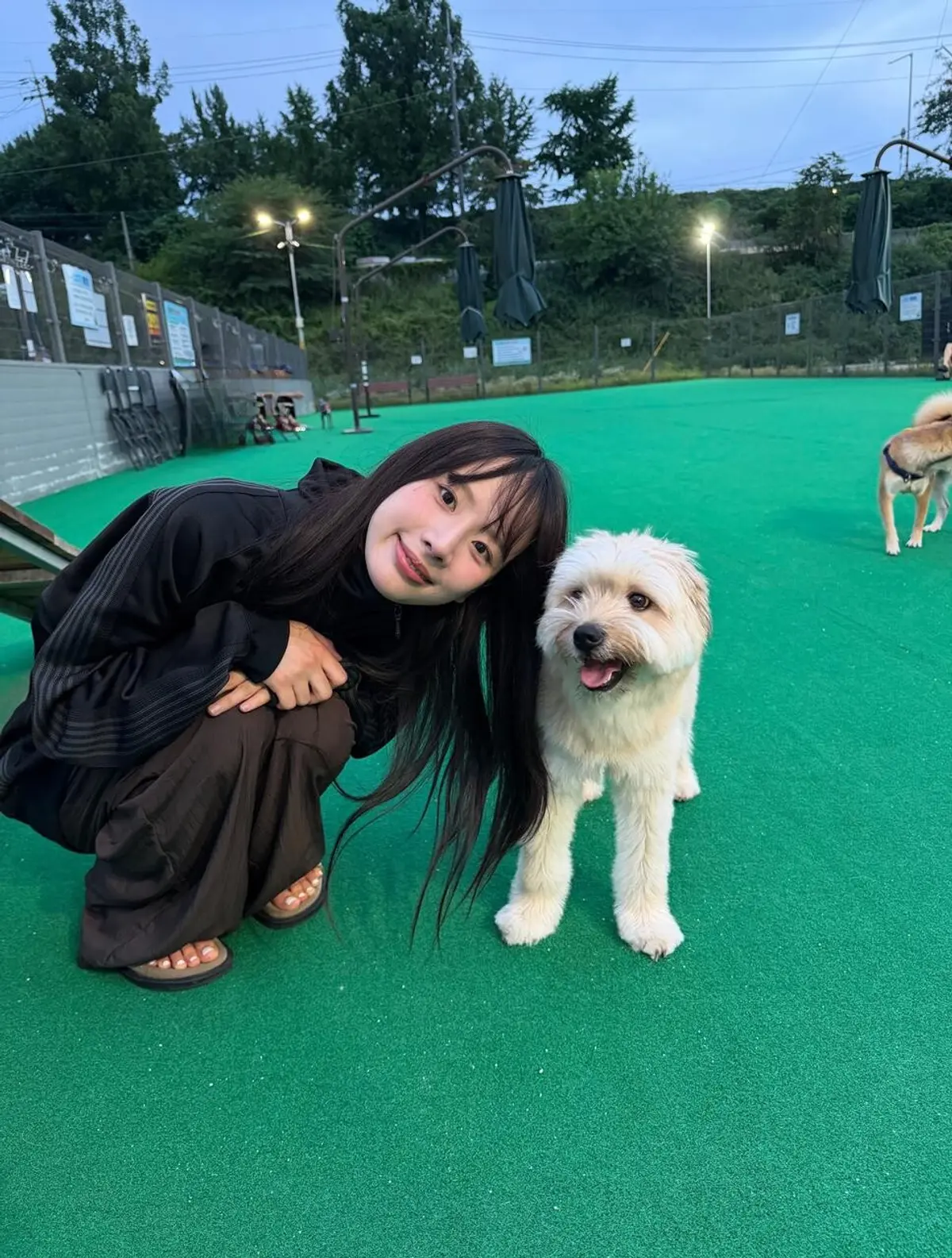 Eom Jung-hwa and Jung Jae-hyung hit the beach with their dogs