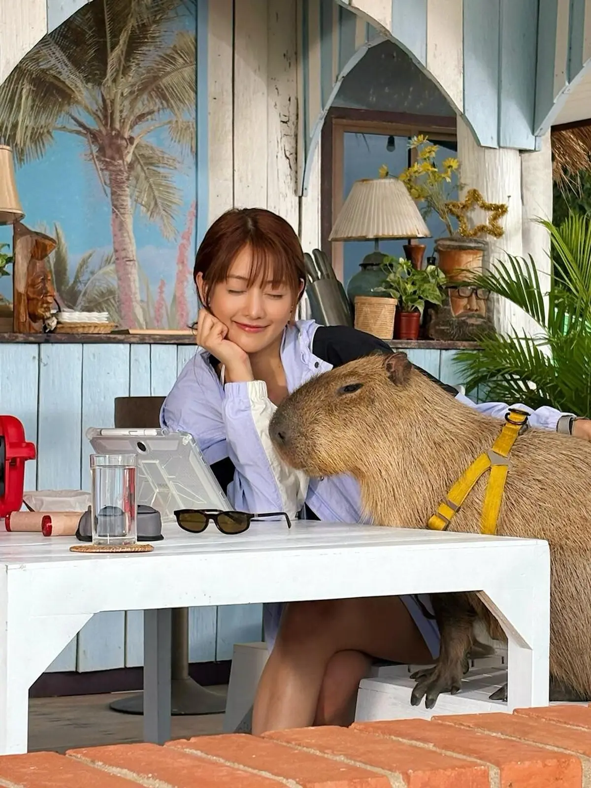 i-dle's Minnie Teases 'Henry's First Dates' Role With 'Lucy's Diary' Capybara Post