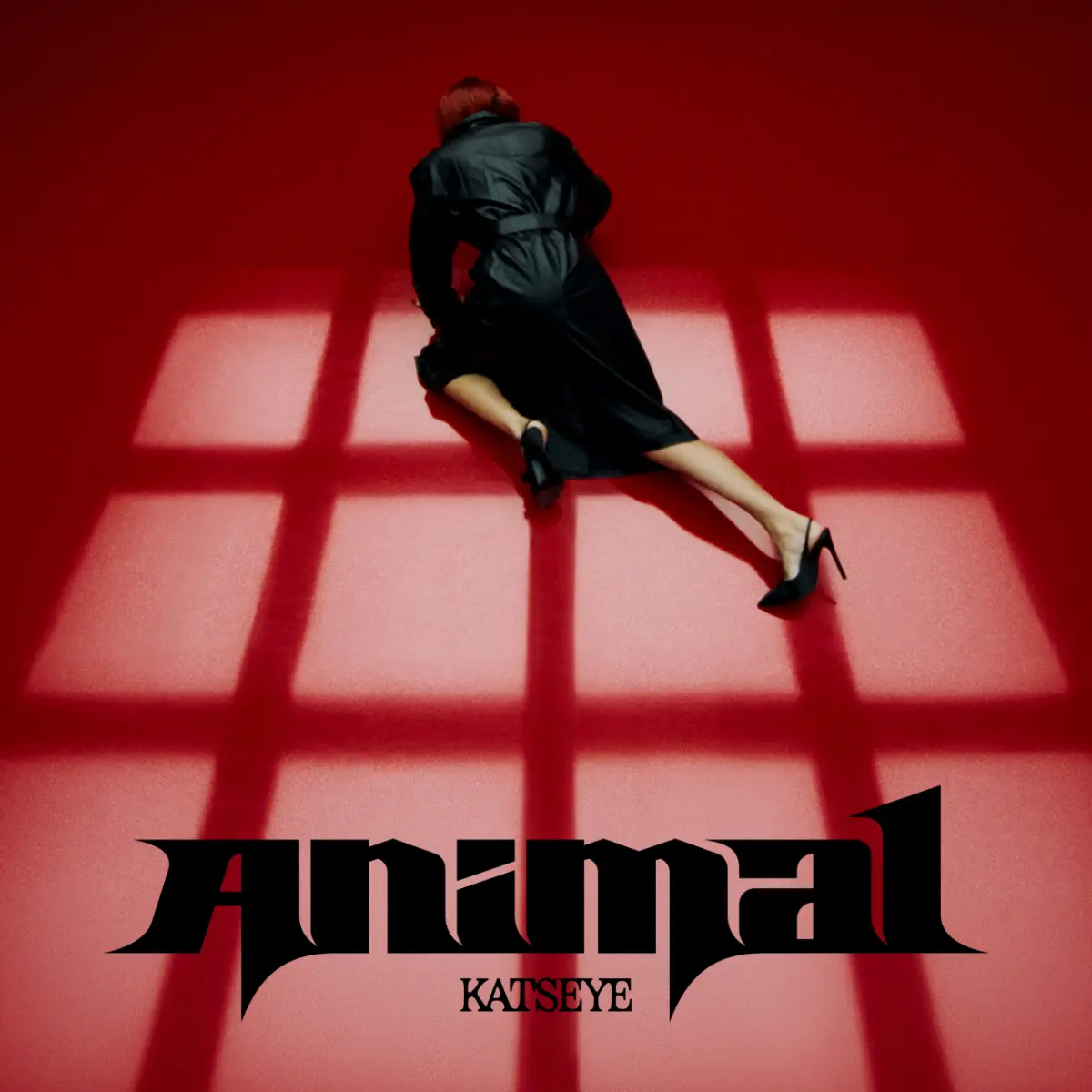 KATSEYE drops 'Animal' on July 24, following 3 wins at 2026 American Music Awards