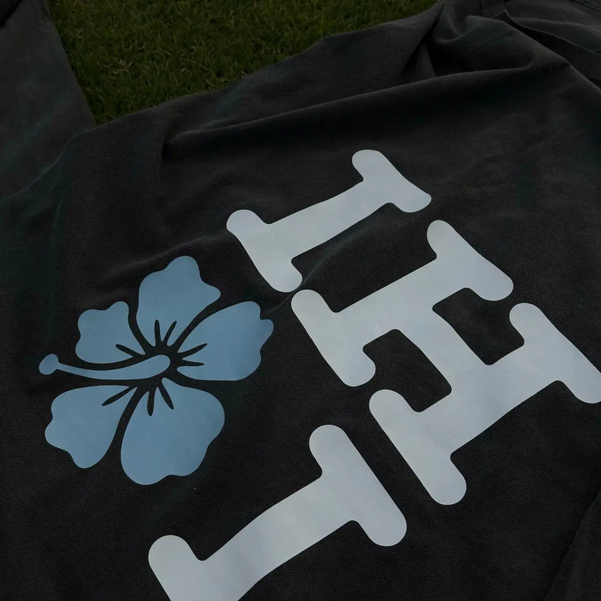 Lee Hi announces limited merch for Oct. 3 Seoul concert 'HI-biscus Garden Live vol. 1'