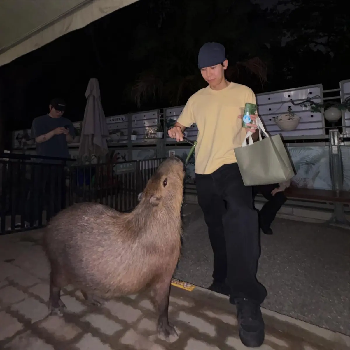 Loco posts capybara photo after SCRAPS TOUR Seoul dates